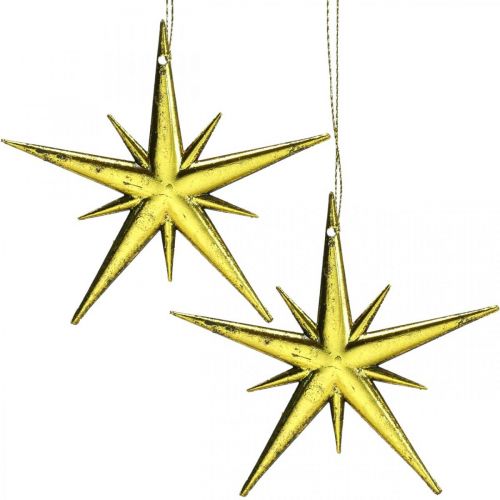 Floristik24 Pendentif étoile de décoration de Noël doré L11,5 cm 16 pcs