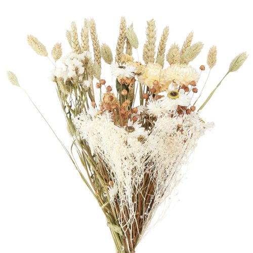 Bouquet de fleurs séchées fleurs paille grain blanc 55cm