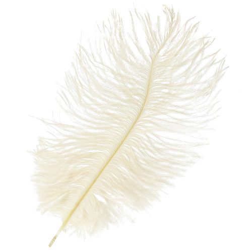 Article Exquise plume décorative blanc crème plume d&#39;autruche blanche 20-25 cm 12 pièces.