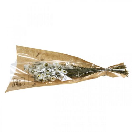 Article Acroclinium Blanc, plantes sèches, fleurs paille, fleuriste sèche L20–40cm 25g