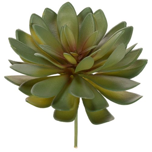 Article Lot de 3 succulentes artificielles vertes 18 cm pour décoration intérieure