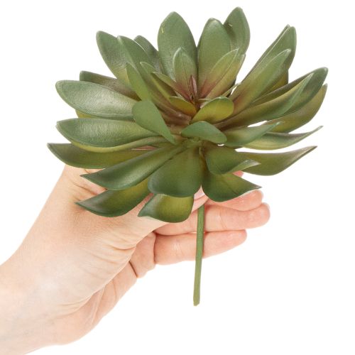 Article Lot de 3 succulentes artificielles vertes 18 cm pour décoration intérieure