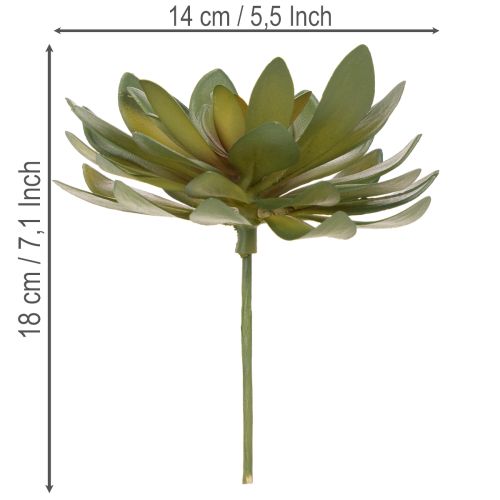 Article Lot de 3 succulentes artificielles vertes 18 cm pour décoration intérieure