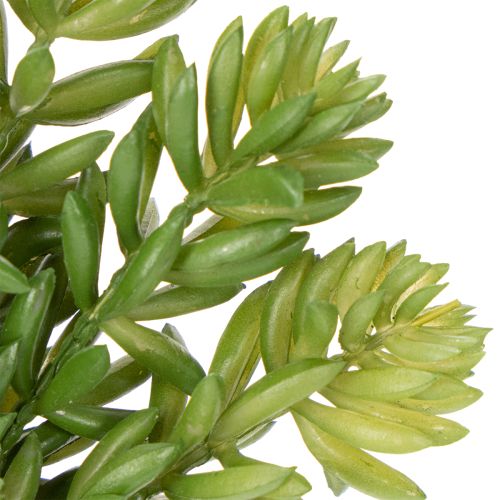Article Fleurs succulentes artificielles pour une décoration facile d'entretien des espaces de vie et de bureau, 15 cm, lot de 6