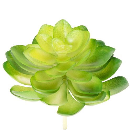 Article Lot de 4 succulentes artificielles vertes pour décoration intérieure 10 cm