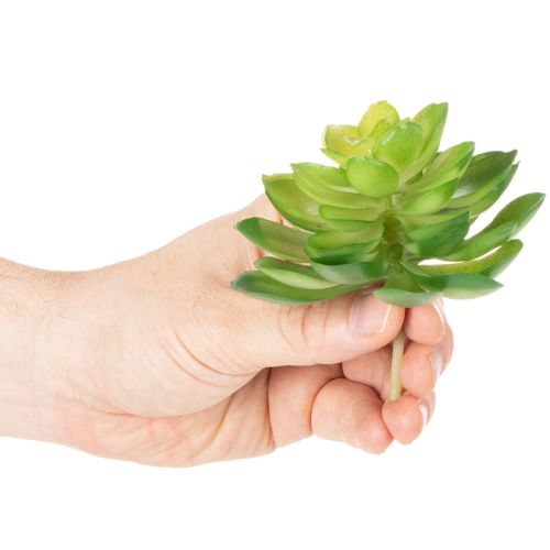 Article Lot de 4 succulentes artificielles vertes pour décoration intérieure 10 cm