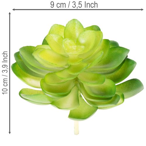 Article Lot de 4 succulentes artificielles vertes pour décoration intérieure 10 cm