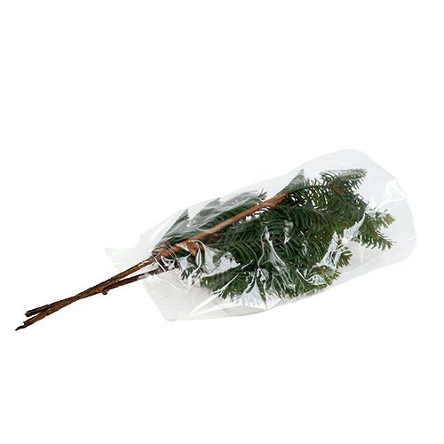 Floristik24 Branche de sapin artificielle 36cm vert 2pcs