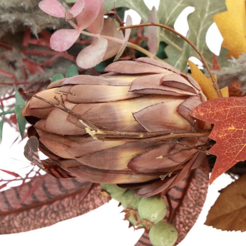 Article Couronne de porte Protea Couronne artificielle avec feuilles d&#39;automne Ø55cm