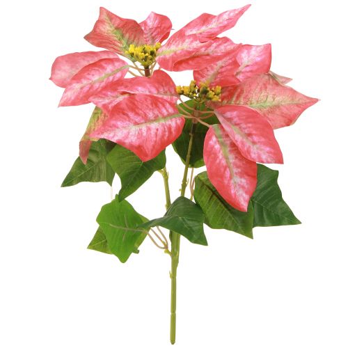 Floristik24 Poinsettia Artificiel Rouge Rose L35cm 6pcs 2 bouquets