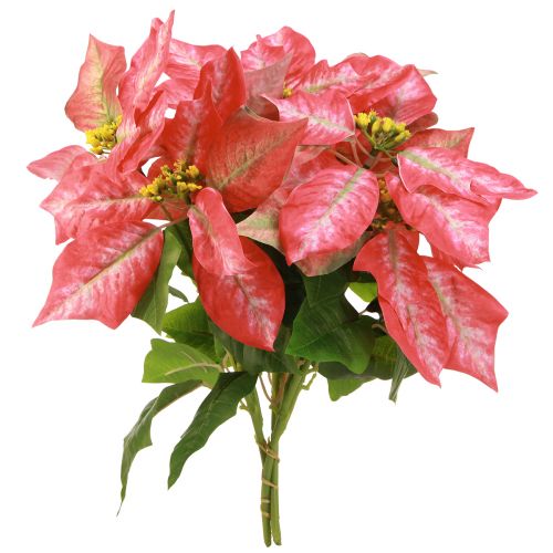 Article Poinsettia Artificiel Rouge Rose L35cm 6pcs 2 bouquets