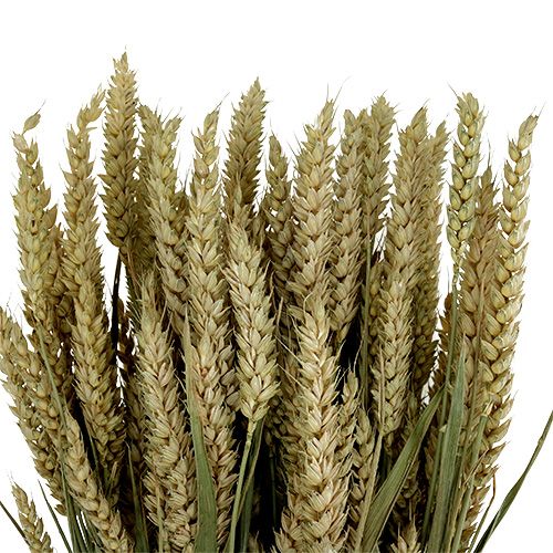 Article Bouquet de blé naturel déco blé 1 bouquet 150g