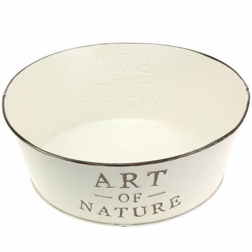 Article Coupe fleur rond zinc crème Ø25cm H9cm