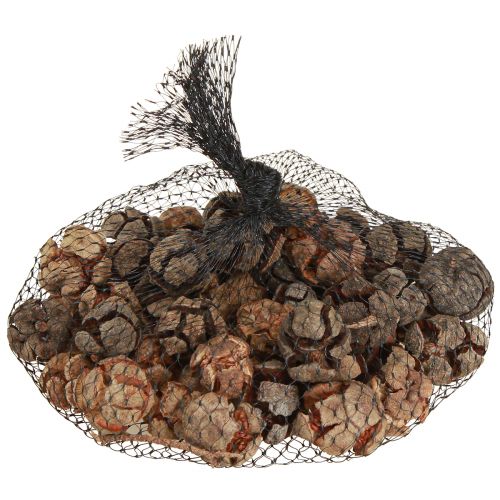 Article Cônes de cyprès cônes de cyprès naturels décoratifs 2-4cm 250g