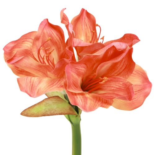 Amaryllis fleurs décoratives orange artificielles L55cm 2pcs