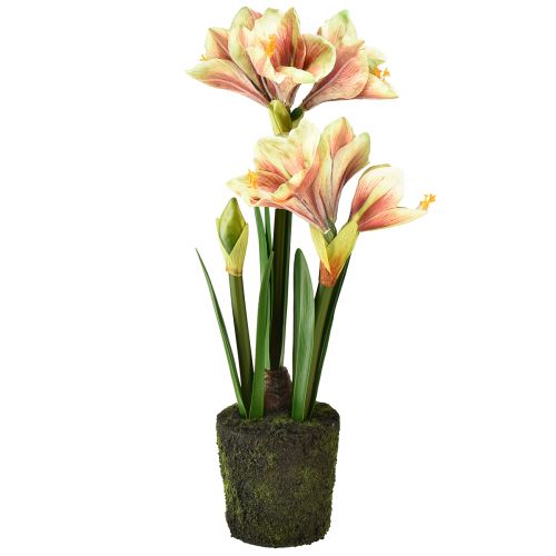 Floristik24 Amaryllis en boule de mousse artificielle à fleurs à motifs rose-jaune - 45 cm - Décoration exotique et stylée