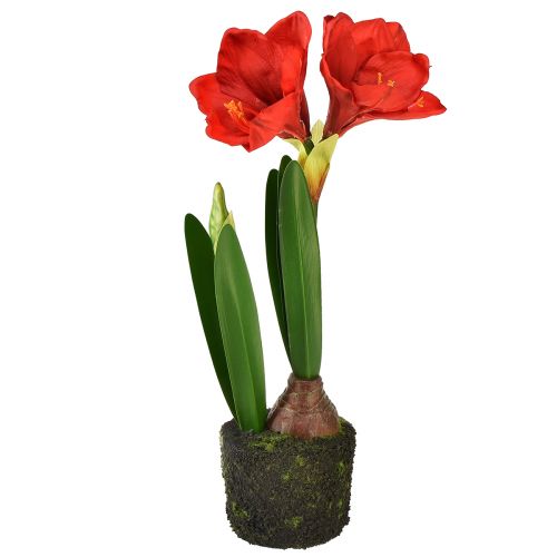 Floristik24 Amaryllis en boules de mousse artificielle - fleurs rouge vif, 49 cm - décoration de chambre élégante et naturelle