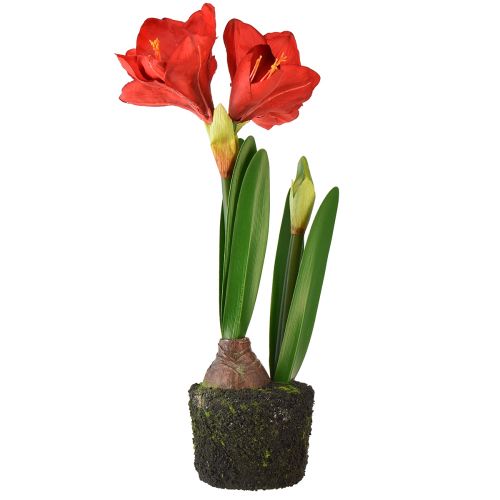 Article Amaryllis en boules de mousse artificielle - fleurs rouge vif, 49 cm - décoration de chambre élégante et naturelle