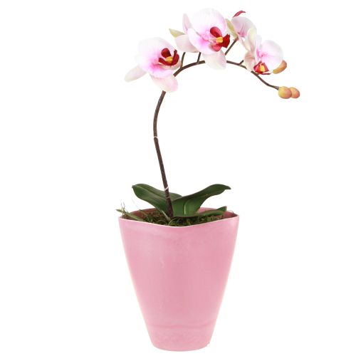 Pot de fleur vase plastique pot d&#39;orchidée rose H16,5cm 4pcs