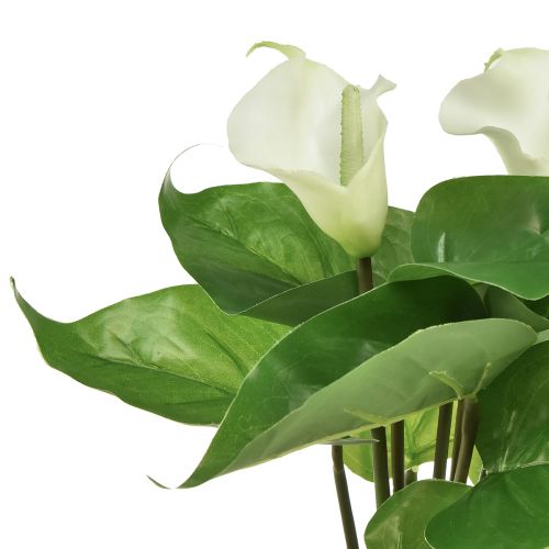 Article Calla Lily Kalla Fleurs Artificielles Fleurs Exotiques Blanches 34cm