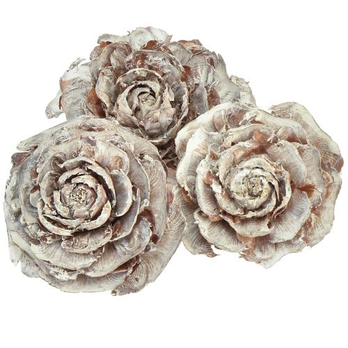 Cônes de cèdre coupés en cèdre rose rose 4-6cm blanc/naturel 50 pièces