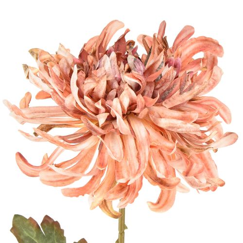 Article Chrysanthèmes Saumon Rose Artificiel Ø13cm L72cm 2pcs