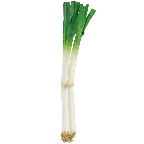 Floristik24 Légumes déco oignons nouveaux vert blanc Ø1cm L28cm 3 pcs