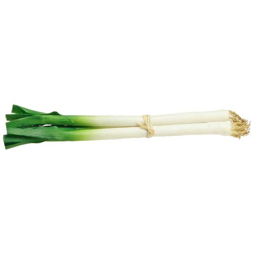 Article Légumes déco oignons nouveaux vert blanc Ø1cm L28cm 3 pcs