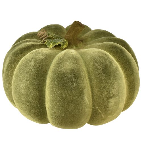 Floristik24 Citrouille déco floquée vert – veloutée, belle décoration d&#39;automne 32cm