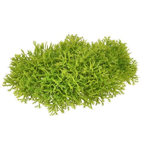 Floristik24 Mousse décorative artificielle verte – coussin de mousse 10/12/14cm 3 pcs