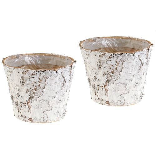 Floristik24 Pot déco bouleau blanchi cache-pot Ø18cm H15cm 2pcs