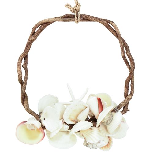 Floristik24 Bague décorative maritime avec escargots de mer et coquillages - blanc naturel, Ø 25 cm - parfaite pour une décoration d&#39;inspiration côtière