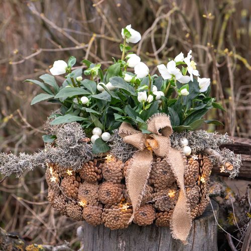 Article Bol décoratif pommes de pin marron naturel Ø35cm H15cm