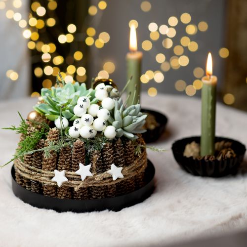 Coffret DIY décoration de Noël avec arrangement succulentes Ø20cm