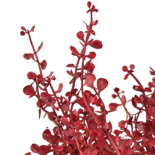 Article Buisson d&#39;eucalyptus plante artificielle rouge eucalyptus 28cm 3pcs