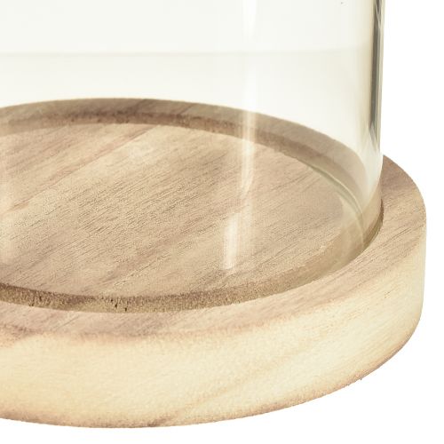 Article Cloche en verre avec socle en bois naturel clair Ø12cm H21cm