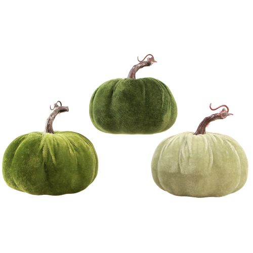 Article Décoration d&#39;automne citrouille vert clair vert vert foncé Ø13cm 3 pcs