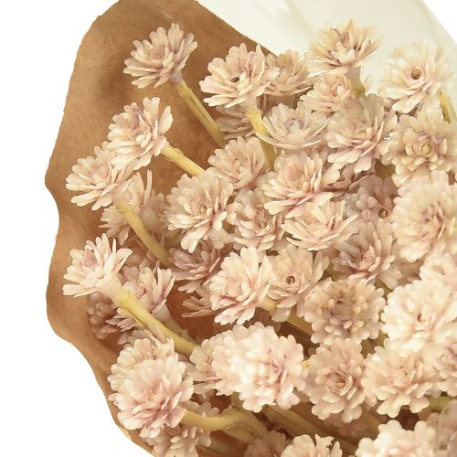 Article Fleurs artificielles de paille italienne rose L28cm