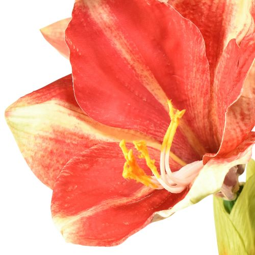 Article Amaryllis Artificielle Rose et Crème – Grande Fleur à Tige 76cm