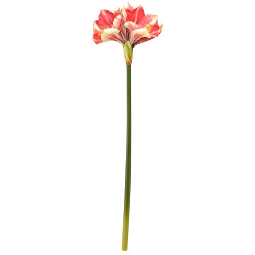 Article Amaryllis Artificielle Rose et Crème – Grande Fleur à Tige 76cm