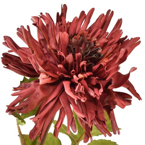 Article Chrysanthème artificiel bordeaux Ø5cm/Ø11cm L70cm