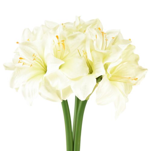 Floristik24 Étoile de chevalier artificielle comme de vraies fleurs artificielles amaryllis blanc 40cm 3pcs