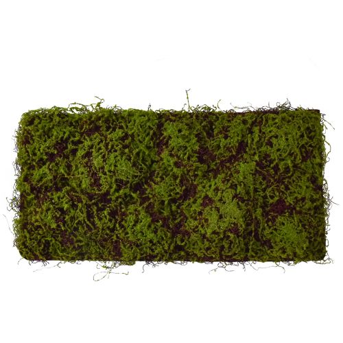 Floristik24 Mousse Artificielle Grand Tapis de Mousse Marron Vert 100×50cm