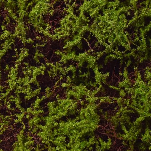 Article Mousse Artificielle Grand Tapis de Mousse Marron Vert 100×50cm