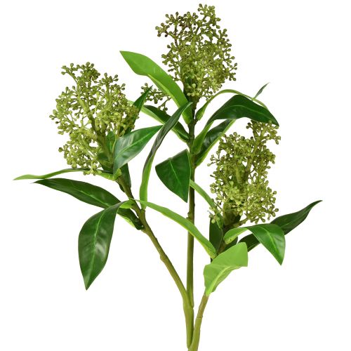 Floristik24 Fleurs artificielles vertes Skimmia japonica Skimmie 45cm 2pcs