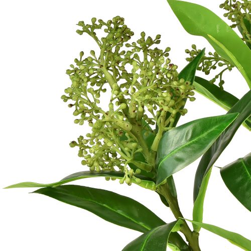 Article Fleurs artificielles vertes Skimmia japonica Skimmie 45cm 2pcs