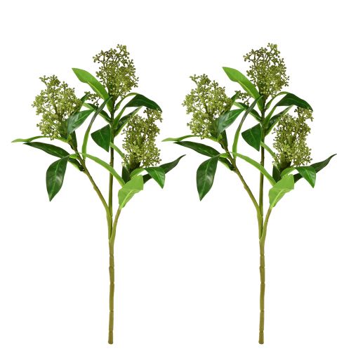 Article Fleurs artificielles vertes Skimmia japonica Skimmie 45cm 2pcs