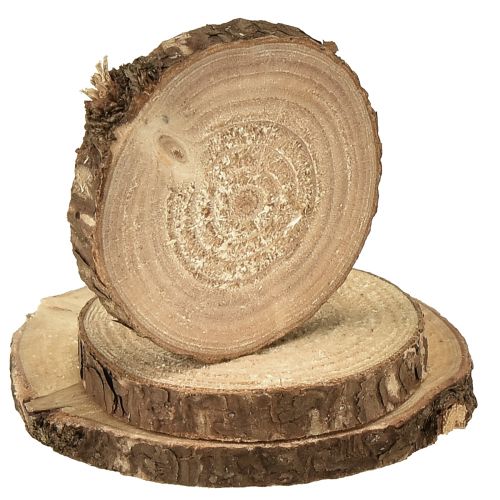 Article Mini disques en bois disques décoratifs pour sapin naturel Ø3-6cm 600g