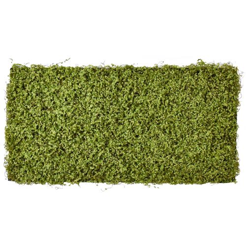 Floristik24 Tapis de mousse mousse artificielle pour photo de mousse vert 100×50cm