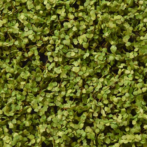 Article Tapis de mousse mousse artificielle pour photo de mousse vert 100×50cm